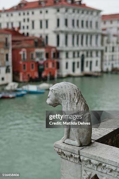 venice italy - venizia stock pictures, royalty-free photos & images