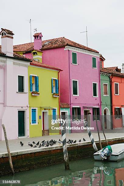 brightly painted homes on the island of burano, italy - venizia stock pictures, royalty-free photos & images