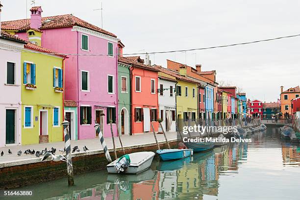 brightly painted homes on the island of burano, italy - venizia stock pictures, royalty-free photos & images