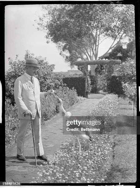 Viscount Allenby Photos and Premium High Res Pictures Getty Images