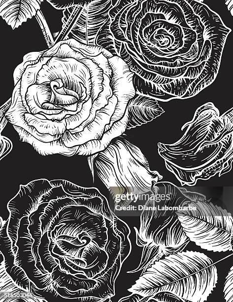 ilustraciones, imágenes clip art, dibujos animados e iconos de stock de flores patrón sin costuras rosas botánicos. - black rose