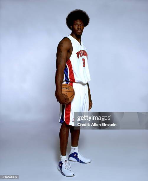 Ben Wallace of the Detroit Pistons poses for a portrait during media day on October 4, 2004 in Auburn Hills, Michigan. NOTE TO USER: User expressly...