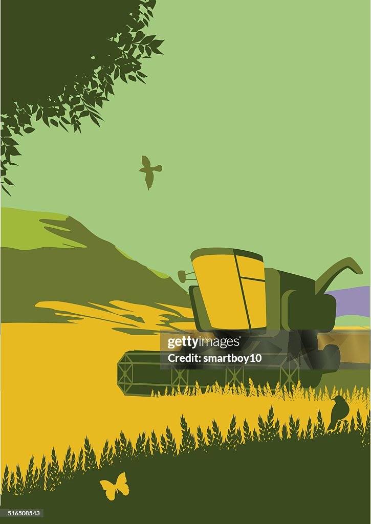 Combine Harvester in countryside