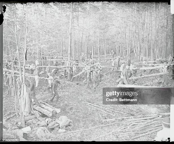Forest Army Starts Work. After marching through the woods carrying their packs, members of the first platoon of President Roosevelt's forest Army go...