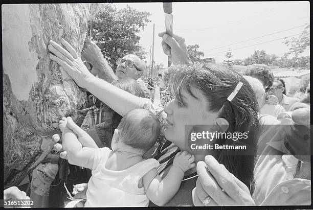 Izabel Hernandez, R, pushes through the crowd and touches her two-month-old baby's hand against the "Crying Tree" that has attracted thousands of...