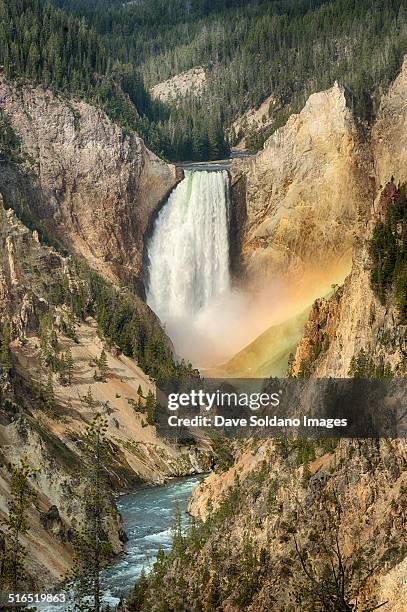 lower falls, rainbow in the mist - yellowstone river stock pictures, royalty-free photos & images