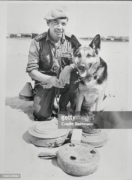 Cairo, Egypt: "Toffa," a 3 and a half year old female German Shepherd that sniffs out mines, and her handler, a member of the Swedish Battalion...