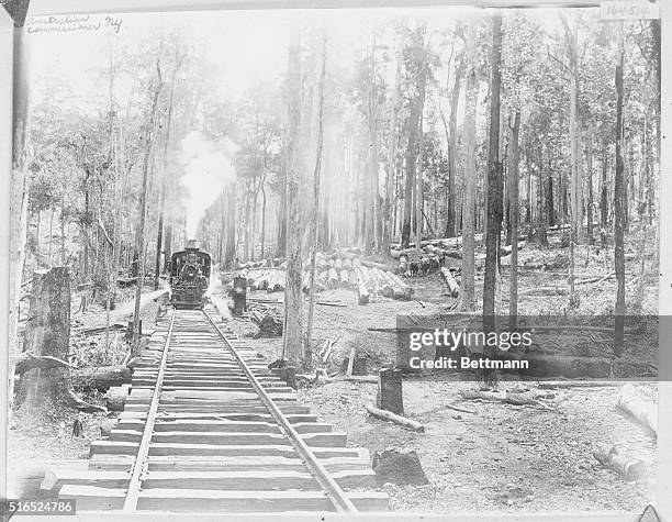 Timber Train Engine Timber Locomotive Photos and Premium High Res Pictures - Getty Images