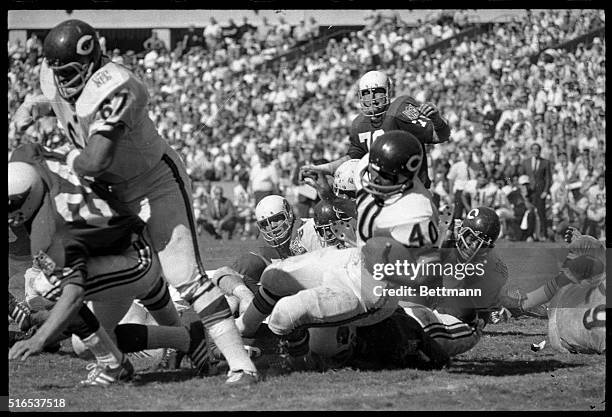 Pro-Football action with the St. Louis Cardinal against the Chicago Bears. The Bears', Gale Sayers , is taken down by the Cardinals' defense.