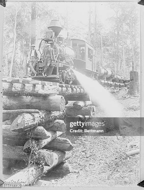 Timber Train Engine Timber Locomotive Photos and Premium High Res Pictures - Getty Images