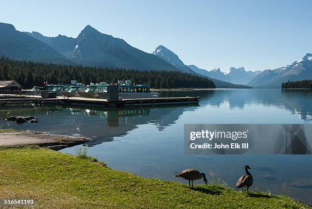 maligne lake - lago maligne foto e immagini stock