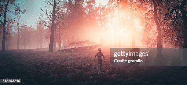 crash landed ufo with alien walking in the forest - flying saucer stock pictures, royalty-free photos & images