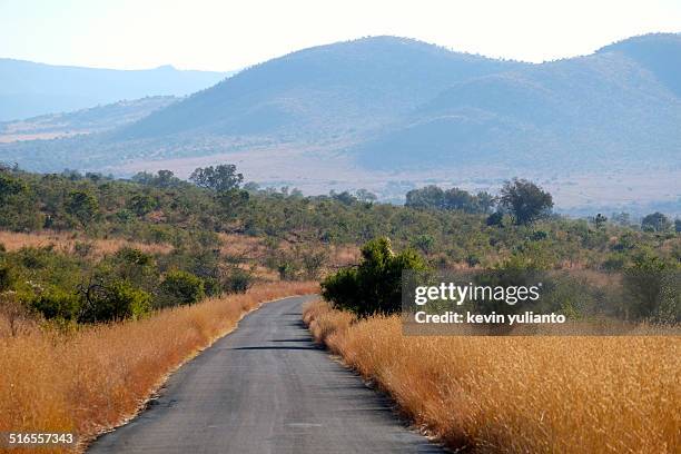 safari road at pilanesberg game reserve - sun city sudáfrica fotografías e imágenes de stock