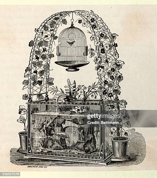 Beautiful view of Predispassengers Hanging Bird Cage Voting