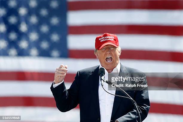 Republican presidential candidate Donald Trump speaks to guest gathered at Fountain Park during a campaign rally on March 19, 2016 in Fountain Hills,...
