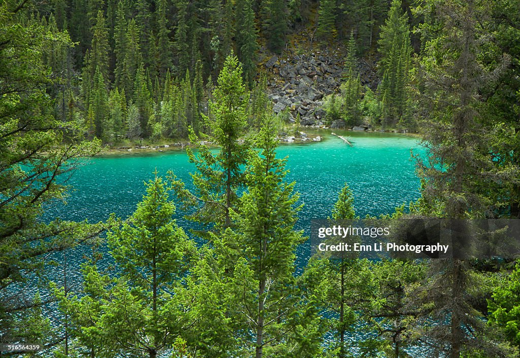 Valley of Five Lakes, Canada, Jasper National Park