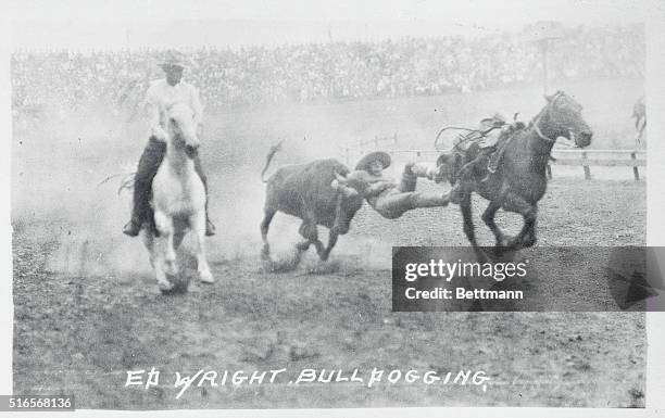 Bulldogging Wreck 126 Bulldogging Stock Photos, High-Res Pictures, and Images - Getty Images