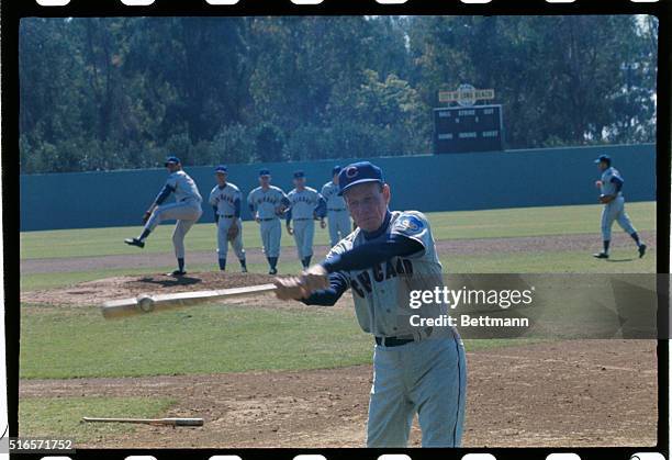 Chicago Cubs manger Leo Durocher working out with the team at their spring training camp.