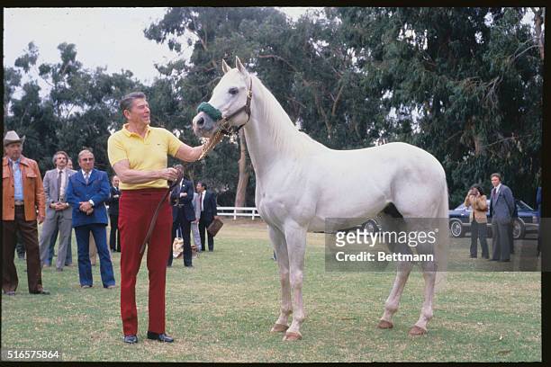 President-elect Ronald Reagan holds the bridle of a horse, named "Alamain," which he received from Mexican president Portillo.
