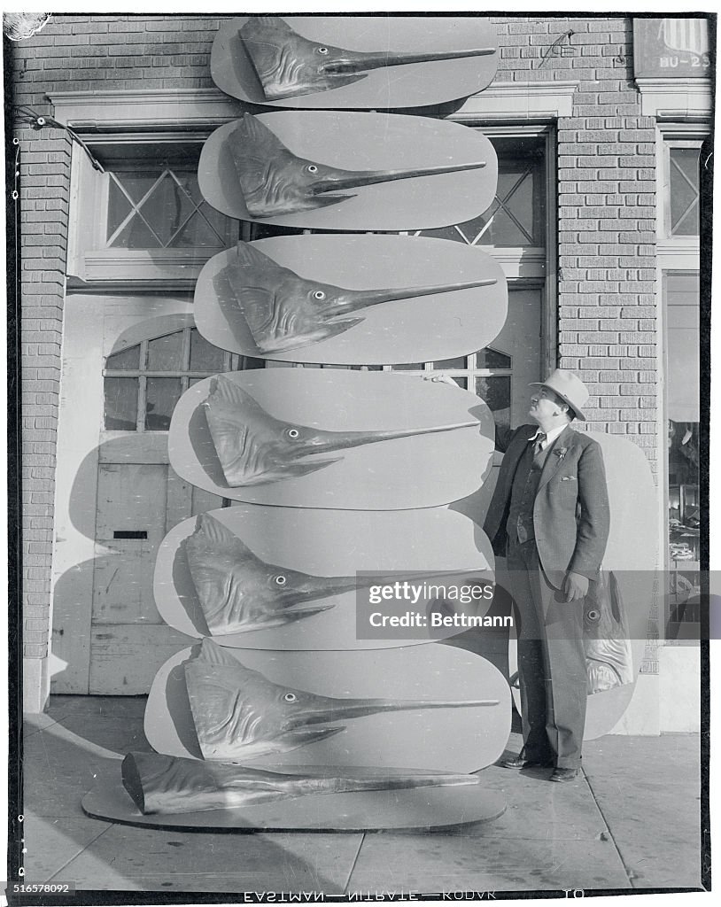 Man next to Fish Models