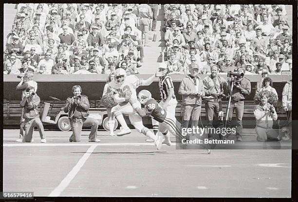 Miami Dolphin's Mark Clayton pulls in a 42 yard pass from quarterback Dan Marino and is hit by St. Louis Cardinals' Lee Nelson in the second quarter....