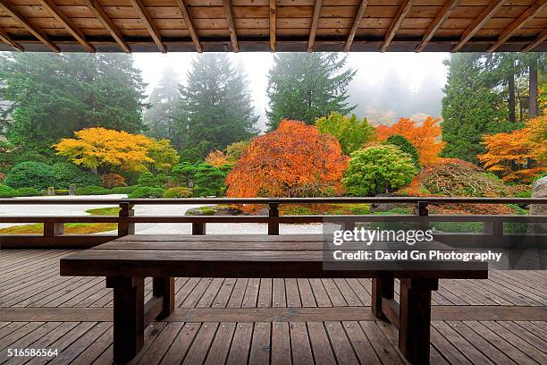 bench at the pavilion - jardín japonés fotografías e imágenes de stock