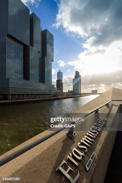 detail of rotterdam's characteristic erasmusbrug - erasmusbrug stock pictures, royalty-free photos & images