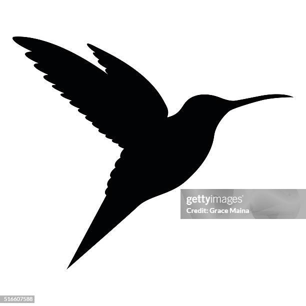 illustrations, cliparts, dessins animés et icônes de oiseau bourdonnement d'oiseaux volant en plein air-illustration - hummingbird