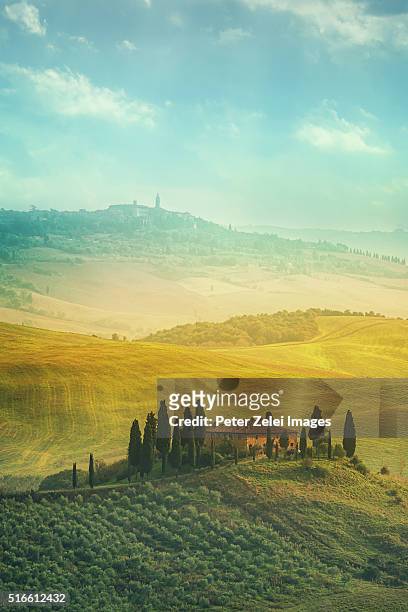 tuscan landscape, location: val d'orcia, tuscany, italy. - tuscany villa stockfoto's en -beelden