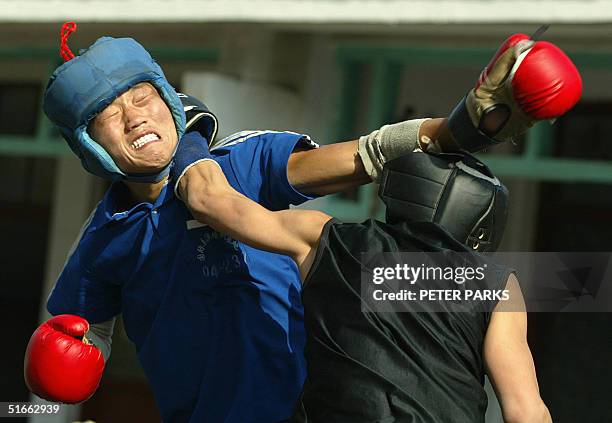 Students train in the art of Xingyi Quan at the famed Shaolin Monestary in Henan province in central China, 03 November 2004. Xingyi Quan is also...