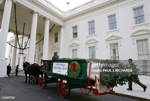 Workmen scurry to unload the official White House Chirstmas tree 02 Dec 2002, a 18-foot-tall Noble fir tree grown by Ed, Cindy and Thomas Hedlund of...