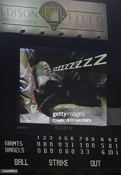 The Anaheim Angels "Rally Monkey" mascot collapses in a heap at the end of Game 6 of the World Series after the Angels came from behind to defeat the...