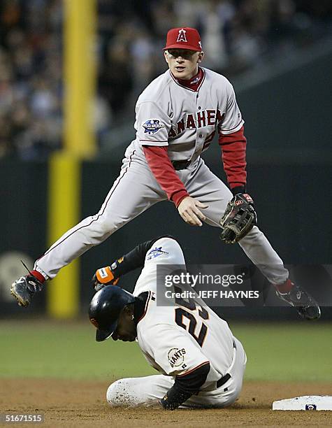 Anaheim Angels' David Eckstein throws to first as San Francisco Giants' Barry Bonds tries to break up the double play from an infield ground ball hit...