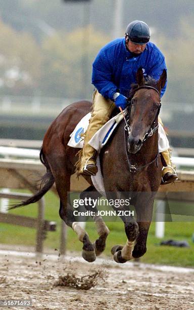 Godolphin Racing 431 Godolphin Stable Photos & High Res Pictures - Getty Images