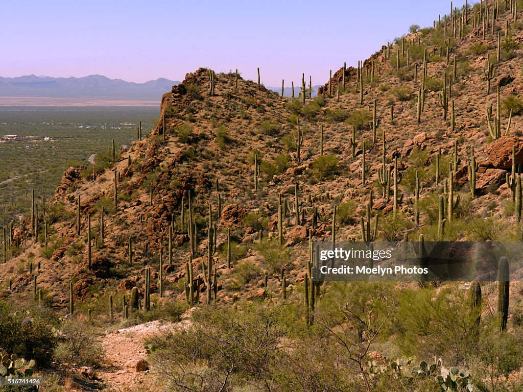 View from Gates Pass-Tucson