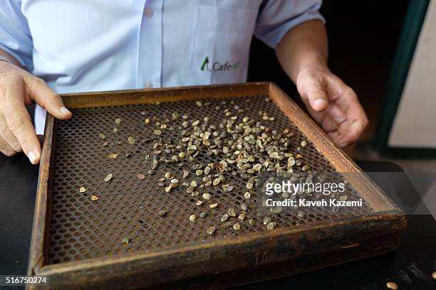 Samples of harvested coffee beans are checked for quality through a sifter in a warehouse on January 21, 2016 in Ansermanuevo, Colombia. Ansermanuevo...