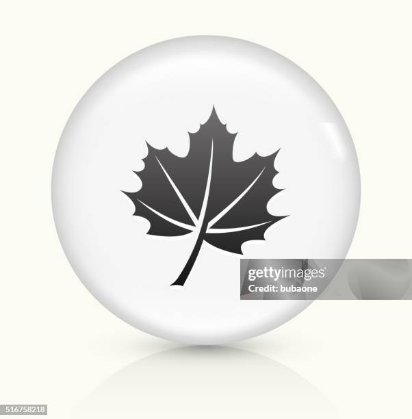 leaf icon on white round vector button - maple tree white background stock illustrations