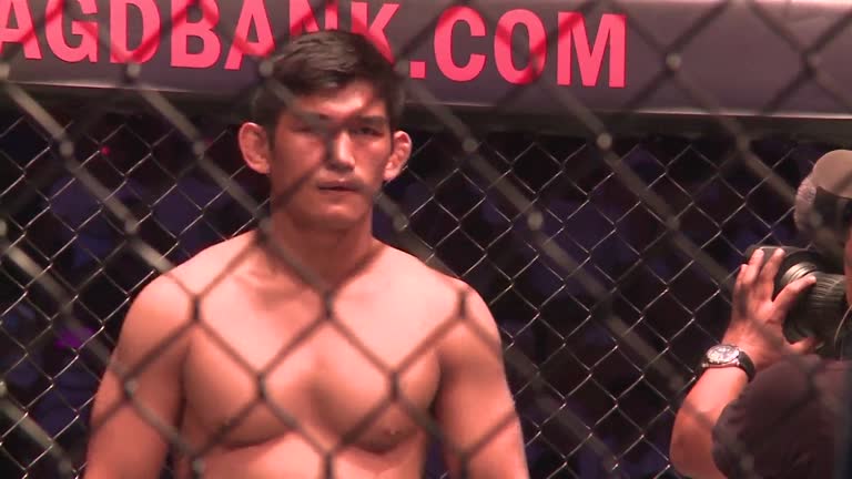 Python Mma Yangon 78 Burmese Python Stock Videos, Footage, & 4K Video Clips - Getty Images