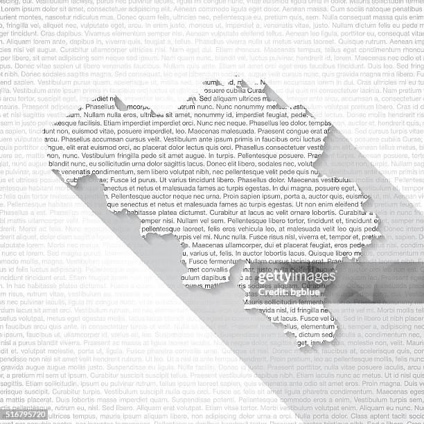 belgium map on text background - long shadow - brussels stock illustrations