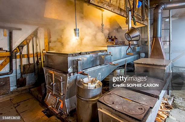 evaporator, maple syrup - evaporator stockfoto's en -beelden