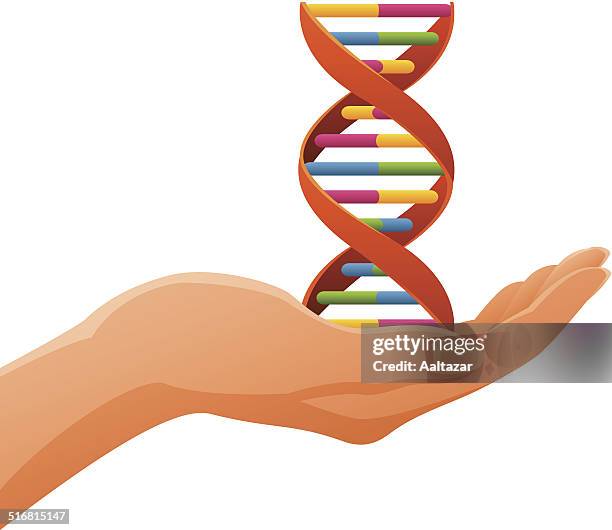 hand holding dna - ribosome stock illustrations