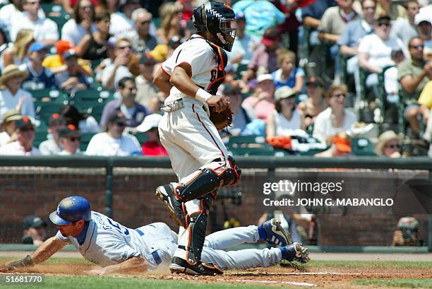 Los Angeles Dodgers' Shawn Green dives safely into homeplate as San Francisco Giants' catcher Yorvit Torrealba looks on during the fourth inning 27...