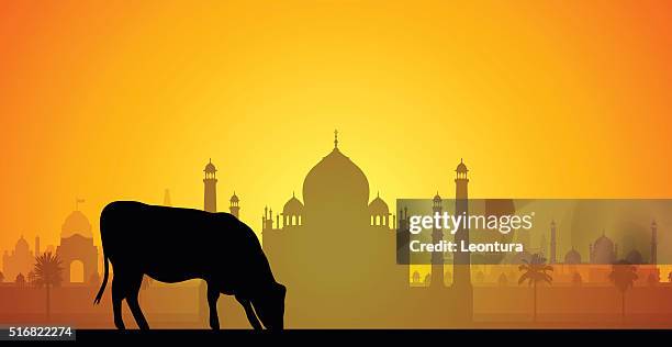 taj mahal, india - jama masjid agra stock illustrations