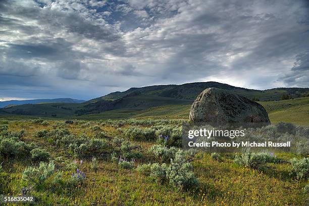 79 Roosevelt Reservation Stock Photos, High-Res Pictures, and Images ...