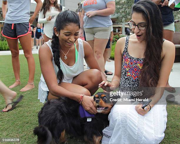 Jeevana Pakanati left, and Shaj Khara pet one of the therapy dogs visiting the Nova Southeastern University campus in Davie, Fla.
