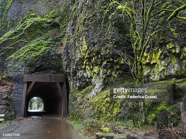 the tunnel at oneonta gorge, oregon - oneonta falls bildbanksfoton och bilder