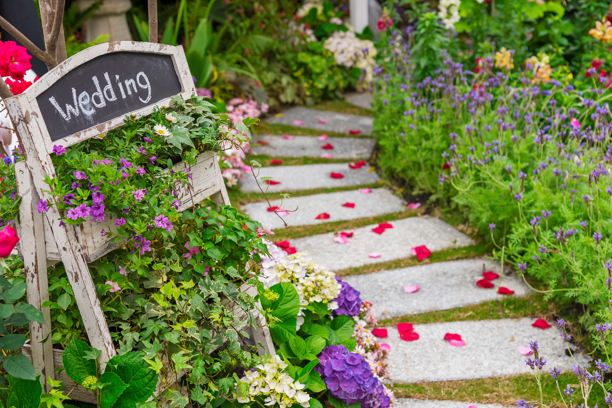 eden gardens wedding
