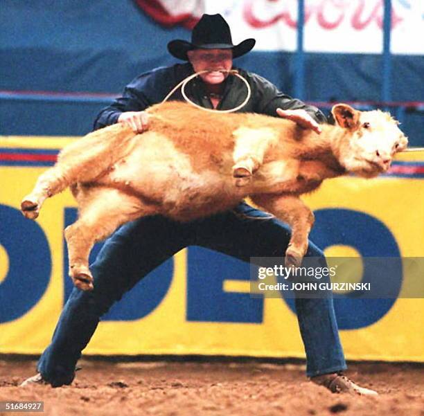 Joe Beaver of Huntsville, Texas, lifts a calf during the calf roping event, 04 December in Las Vegas, Nevada, during of the National Finals Rodeo....