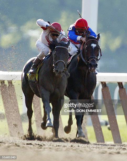 Sarava and Medaglia d'Oro fight toward the finish in the 134th Belmont Stakes 08 June 2002 in Elmont, NY. Sarava, trained by Ken McPeek and ridden by...