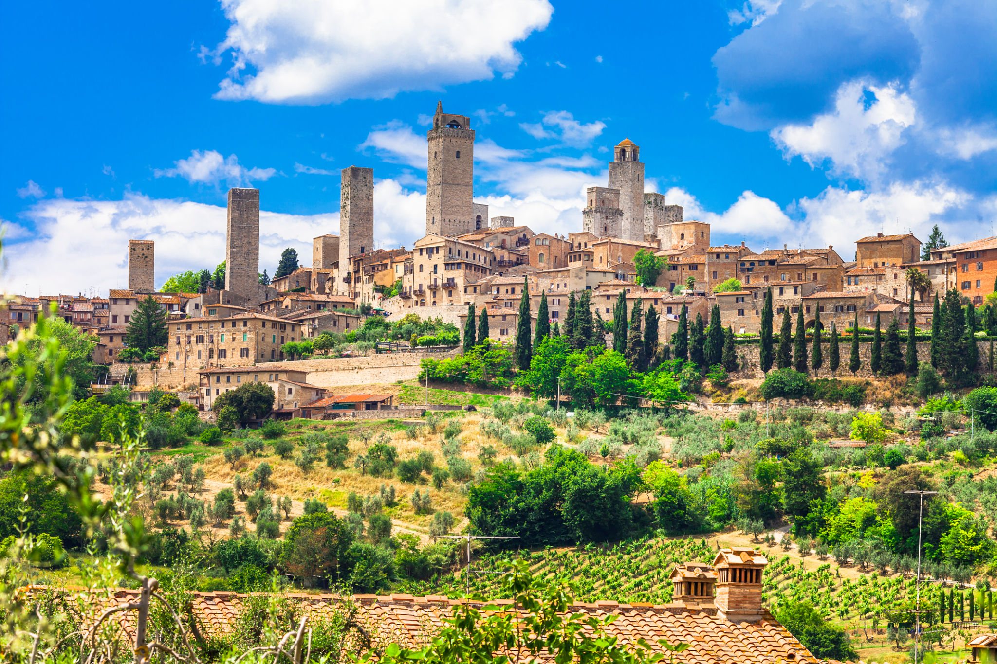siena cityscape